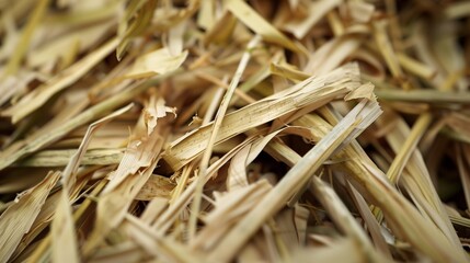 Dried lemongrass organic seasoning botanical garden harvesting which has withered or lacks water