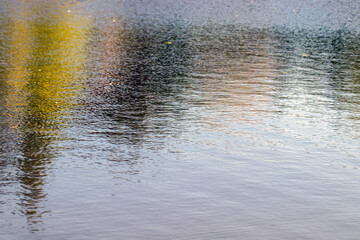 Lakeside  water reflections  trees.