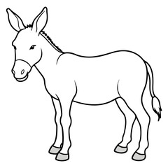 Obraz premium donkey isolated on white