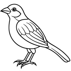 Obraz premium bird on a branch