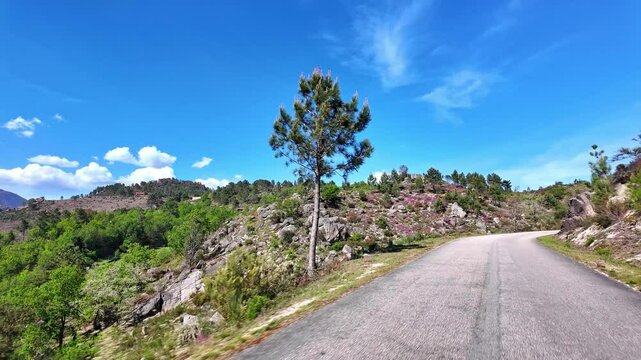 Driving with the car through the Peneda Geres National Park in Portugal, Europe. Area betweeen Cabril und Ruivaes