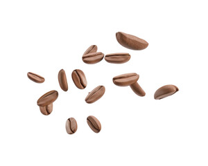 A collection of brown seeds scattered on a transparent background.