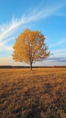 Fototapeta premium A lone tree in a field, its leaves turning golden under a crisp autumn sky.