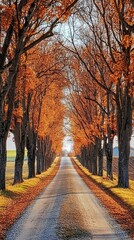 A quiet country road lined with trees in full autumn splendor, leading to the horizon.