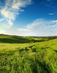 Fototapeta premium Countryside landscape grassland panoramic.