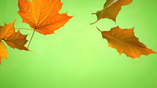 Autumn leaves falling against a green background