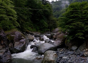 mountain river in the forest