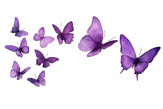 Fototapeta Flock of purple butterflies on an isolated transparent background