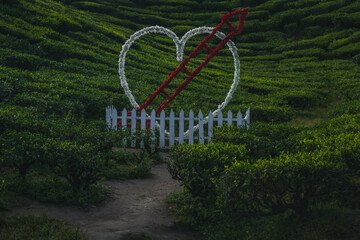 A heart shaped sign in nature
