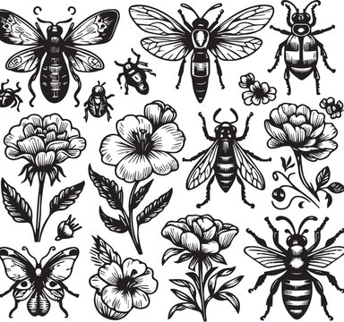 insects vector icon set