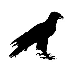 Eagle icon. Bald eagle logo. Eagle glyph. eagle silhouette