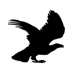 Eagle icon. Bald eagle logo. Eagle glyph. eagle silhouette