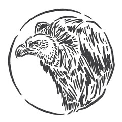 vector illustration of a vulture icon