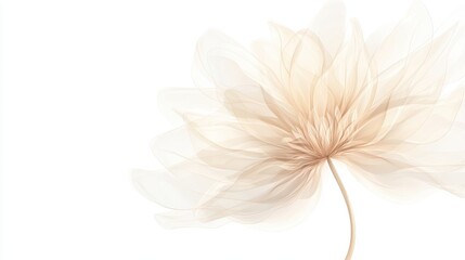Fototapeta premium A flower with a stem is shown in a white background. The flower is very large and has a lot of detail. The image has a serene and peaceful mood, as the flower is the main focus