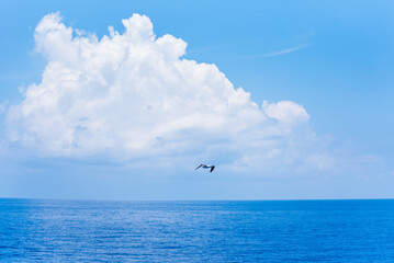 Beautiful blue sky, with fluffy clouds over the calm Pacific Ocean. 
