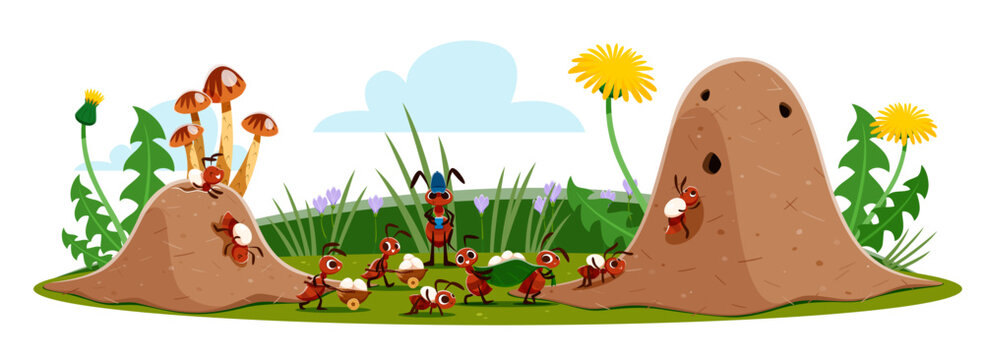 Ant characters carry eggs to anthill. Cartoon ant pest insects working together to carry eggs to an anthill. Vector scene in a natural environment with flowers, mushrooms and grass at summer field