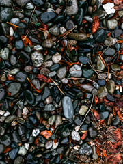 black and white pebbles