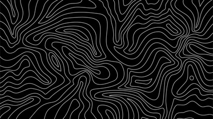 Obraz premium Contour background. Topographic map pattern background. Abstract wavy lines background. Background with topographic contours. Topographic contour map background.
