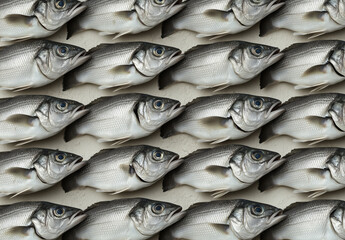 Obraz premium A pattern of many sea bass fish arranged on top of each other, displayed at the market stand, white bckground