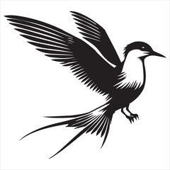 Obraz premium Common Tern Silhouette, Sterna hirundo Bird Clipart - Common Tern perched Illustration in black and white