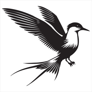 recommend clip art: Common Tern Silhouette, Sterna hirundo Bird Clipart - Common Tern perched Illustration in black and white