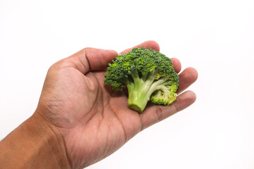 Close-up of a hand holding broccoli, isolated on white background