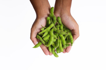 A hand is holding fresh edamame beans, with ample copy space, isolated on a white background