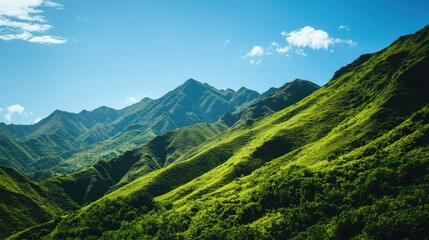 Fototapeta premium Lush green mountain slopes under a clear blue sky, abundant copy space.