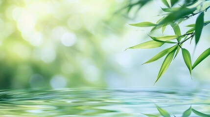 beautiful spa background with bamboo and water
