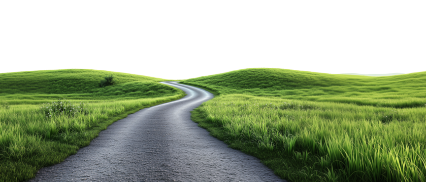 Road through grassfield border landscape grassland outdoors isolated against transparent background. Natural concept