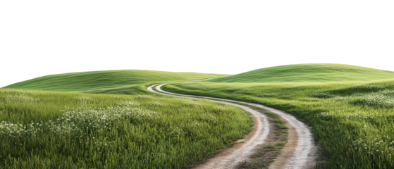 Road through grassfield border landscape grassland outdoors isolated against transparent background. Natural concept