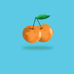 illustration of orange