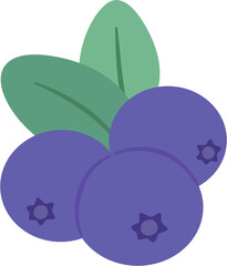 illustration of Blueberry