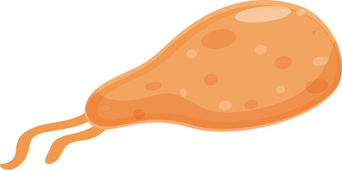 Trichomonas vaginalis parasite is swimming with its flagella