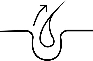 Hair treatment and care signs . Labels for shampoo or cosmetic procedures. Hair follicles, repair, nutrition, split ends, anti-dandruff, restoration. Shiny healthy hair sign. Label or stickers.