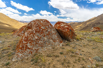 Fossil formed on rocks at a high-altitude mountain pass called Warila at Ladakh, India. © Sandeep