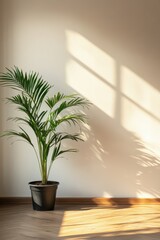 Fototapeta premium Sunlit Green Potted Plant Against Minimalist Beige Wall with Wooden Floor