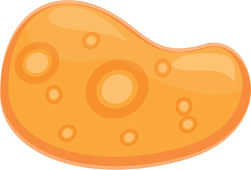Amoeba proteus single celled microorganism showing cytoplasm and nucleus