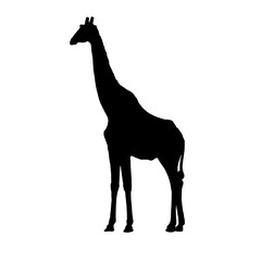 giraffe black silhouette illustration