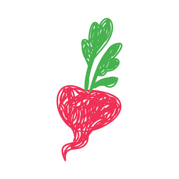 Radish as Kids Doodle Simple Hand Drawn Element Vector Illustration