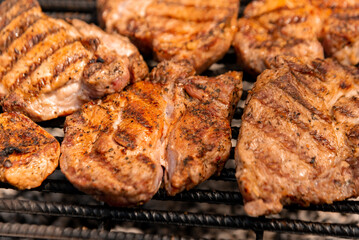 grilled meat on the grill