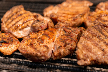 grilled meat on the grill