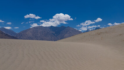 View of sand dunes in the foreground and High-altitude Mountain ranges in the background in Nubra valley, Ladakh India. 