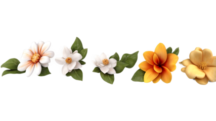 Photorealistic floral botanical illustration featuring white and yellow daisy, magnolia, and hibiscus flowers in hyper-detailed 8K resolution, isolated on transparent background