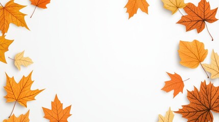 Fototapeta premium Autumn maple leaves border, white background, simple clip art style, flat design illustration