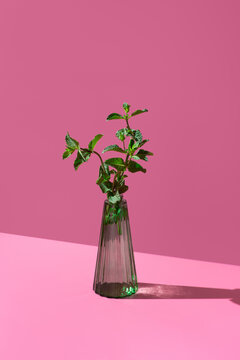 Fresh peppermint sprigs in a green glass vase on pink background