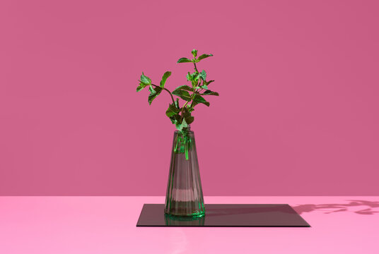 Fresh peppermint sprigs in a glass vase on pink background