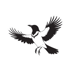 Obraz premium 1Magpie line art vector silhouette with white Background
