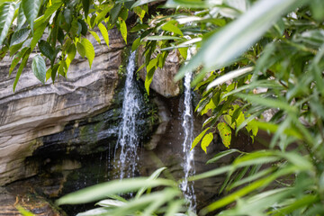 Tranquil Waterfall Hidden in Greenery