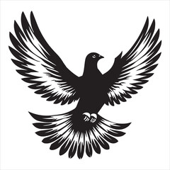 Obraz premium Rock Dove Silhouette, Pigeon Bird Clipart - Rock Dove soaring high Illustration in black and white 